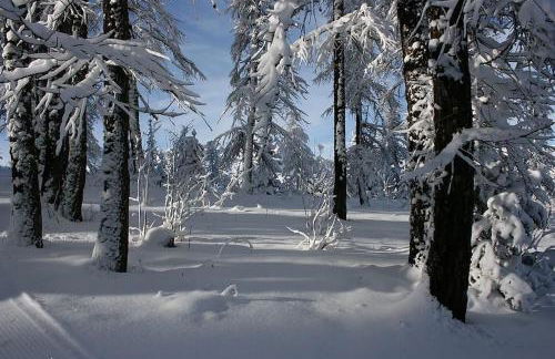 CHALET 16 PERS PROCHE DES PISTES - Foto 30