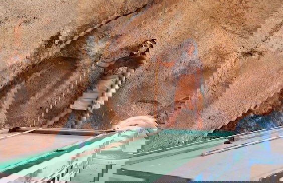 Cave Diani Studio Apartments - Foto 25