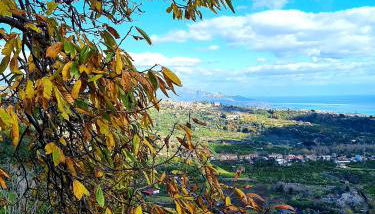 Etna panoramic villa with swimming pool - Foto 3, Other