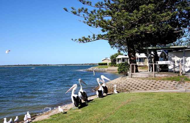 Broadwater Tourist Park - Photo 55