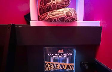 The Secret Agent Apartment - Brought to you by Coastline Retreats - Brand New - 2 mins walk to Beach - Childrens play den - Pool Table - Time Crisis Arcade Machine - Foto 7