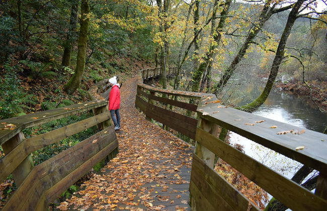 Coliving The VALLEY Portugal with Coworking Space open 24-7 - Foto 52