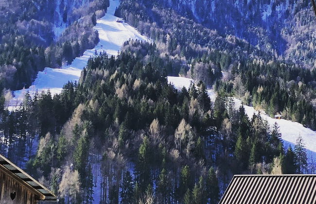 Jacob´s Resort House Podkoren - Foto 58