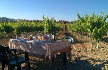 Bodega Boutique Finca Buytrón - Foto 31