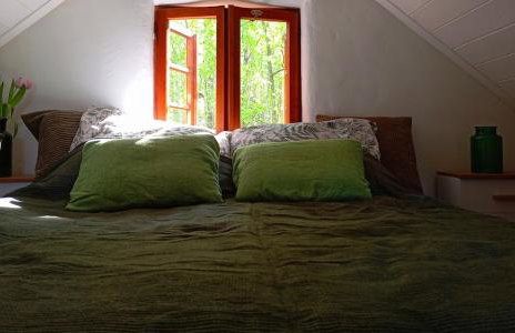 Siedlisko MiłoBrzózka - Photo 6