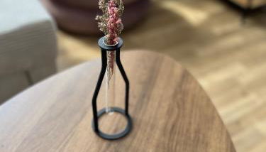 ANER 1 STILVOLLE Ferienwohnung in Dresden-Loschwitz - Foto 3