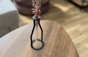 ANER 1 STILVOLLE Ferienwohnung in Dresden-Loschwitz - Foto 3