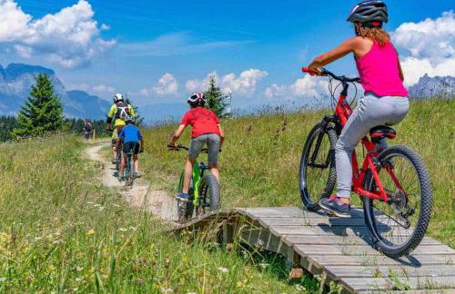 Appartement spacieux proche des télécabines et du centre ville avec jardin privé - Foto 42