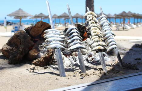 Amazing Sea View - Photo 34