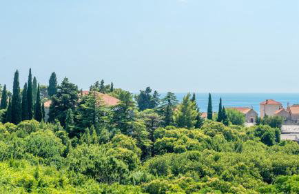 Comfort Apartment Ani - Foto 3