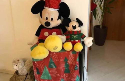 Hortênsiailedefrance - Foto 16