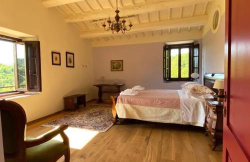 Podere Terreno alla Via della Volpaia - Foto 9