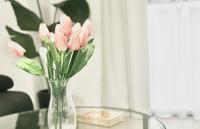 Centro Picacho - Foto 69