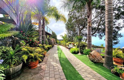 Finca Los Loros Icod de los Vinos - Foto 37