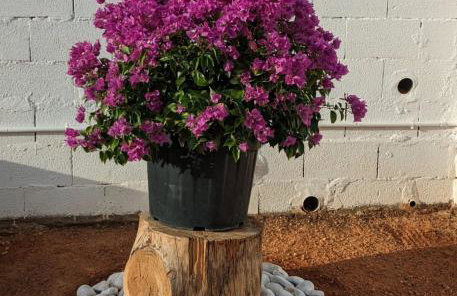 Chalet con piscina, barbacoa y jacuzzi en Valencia - Photo 29