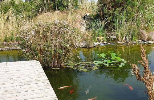 Roby's house, vivi la vacanza in relax (2L) - Foto 8