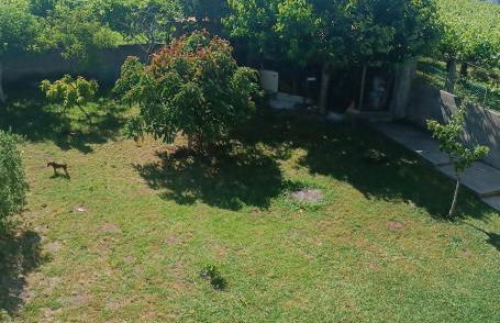 GALIHOST - Apartamento entre viñedos - Foto 30