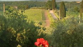 Casa il Cipresso - Foto 2