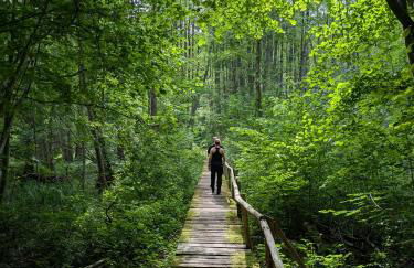 Wintertraum in Damm - 70 qm Wellness & Wohlfühl-Atmosphäre - Foto 55