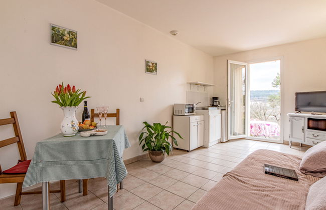 Le petit Verdillon - Foto 2