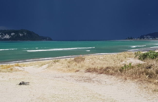 Heron's Nest - Foto 15