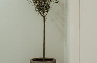 Casa Milo Sotogrande - Foto 38