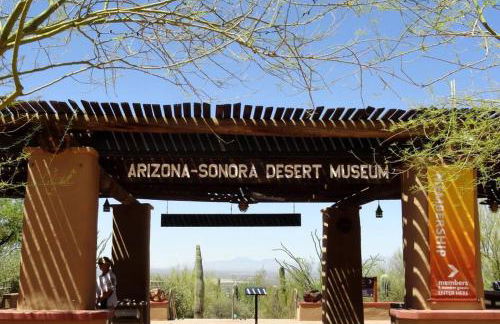 Tucasa - Private Backyard Resort - Theater - Foto 60