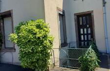 La cigogne rêveuse - Foto 3