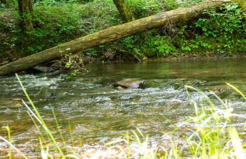 A Creek Runs Thru It - Secluded Waterfront Cabin - Foto 58
