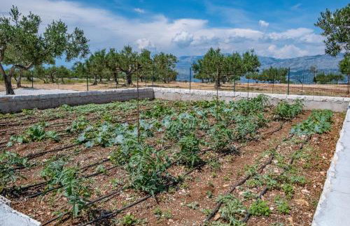 Secluded vacation house Bračuta with swimming pool - Foto 122