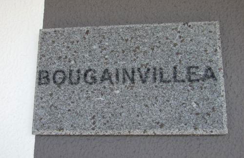 Paraiso das Flores - Foto 67