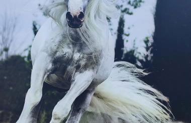 Porvenir centro - Foto 26