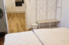 AUXBRG - 4 Zimmer, XL Wasserbett, 65 Zoll TV, XL Terrasse - Foto 28