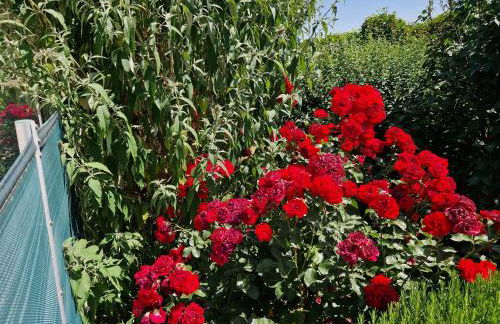 Gîte de Ségonac - Foto 16