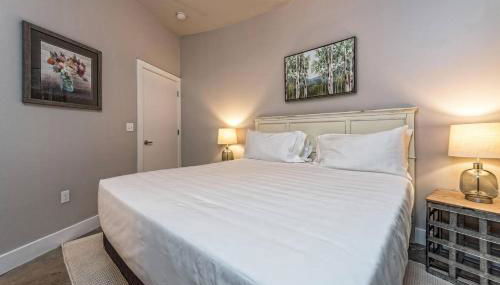 Green Door Lofts -Magnolia Loft, Silos/Downtown - Foto 5