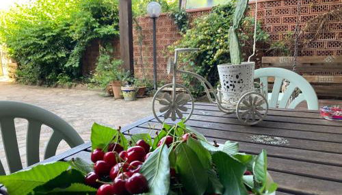 The Flowers' House - Photo 2, Garden