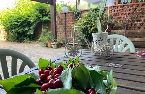 The Flowers' House - Photo 2