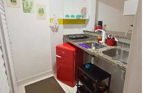 Apêzinho Vidigal - RJ - Foto 32