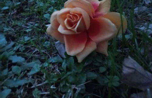 holiday House Na Te - Photo 7