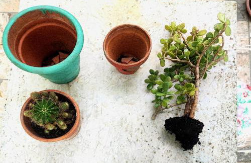 La Casa di Cesarina - Foto 50