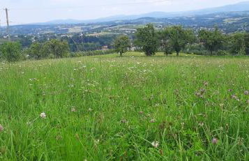 Domek pod Skiełkiem - Photo 56