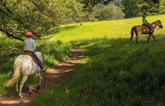 Out 'N' About Treehouse Treesort - Foto 57