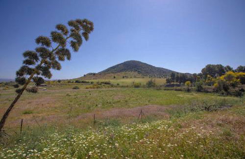 Bungalows-Cortijo Da Luigi-4 adultos-2 Dormitorios-Piscina-Ideal familias-Cártama-Málaga - Foto 31