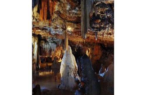 Villa in Sveti Lovre with swimming pool - Foto 43