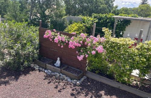 Les Gîtes du Petit Bois Jasmin - Foto 47