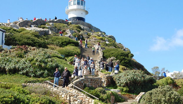 Tour de medio día por Cape Point - Foto 2