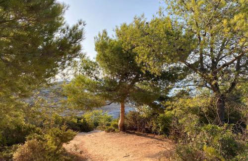 Torre de Cima - Foto 28