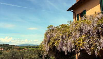 Casolare Marconi - Foto 3, Garden, Garden view
