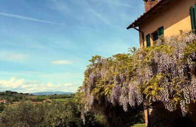 Casolare Marconi - Foto 3