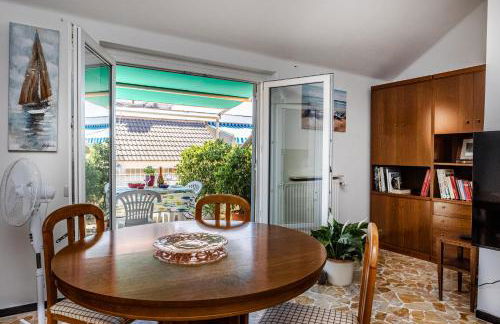 Seagulls, Elegance and Freedom - Foto 13